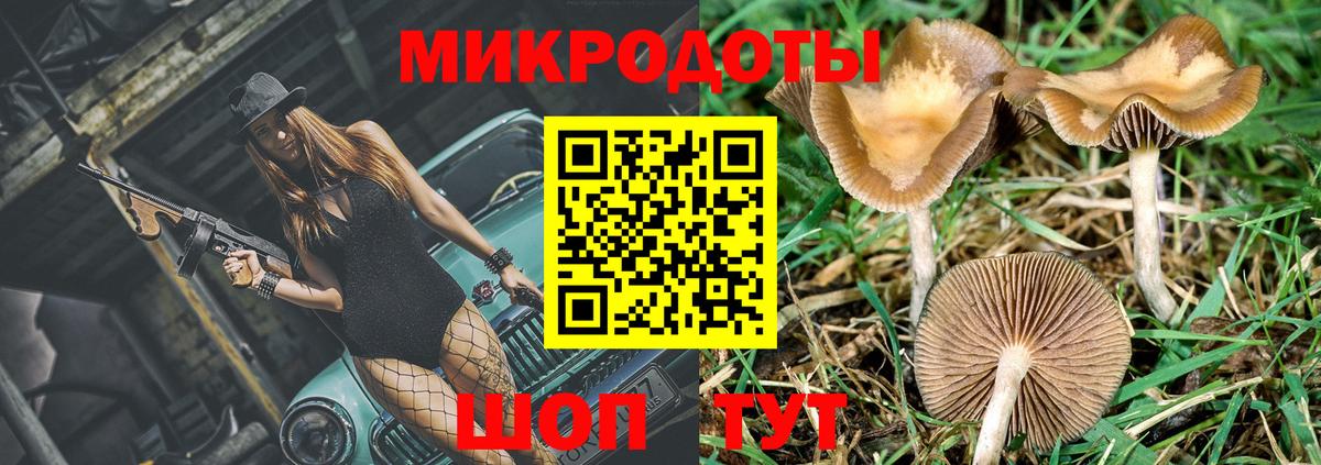 Галлюциногенные грибы ЛСД Энгельс
