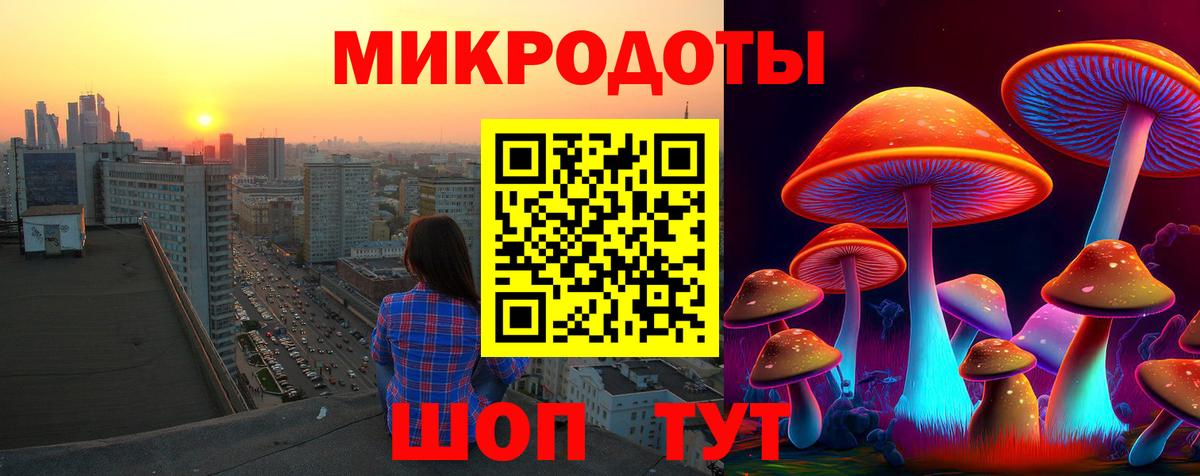 Псилоцибиновые грибы Cubensis  Вход с VPN  Энгельс  Псилоцибиновые грибы Psilocybine cubensis 